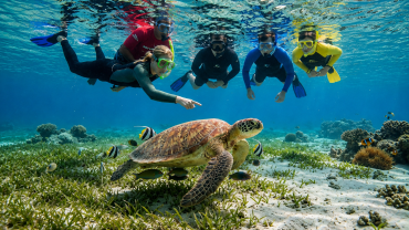 Exploring Egypt’s Red Sea Coast: Hurghada, Marsa Alam, and Beyond