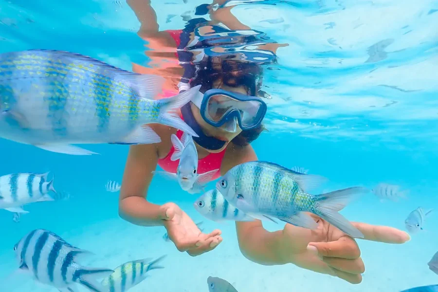 Hamata Islands Snorkeling