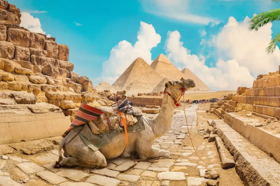 Giza Pyramids & Sphinx Tour