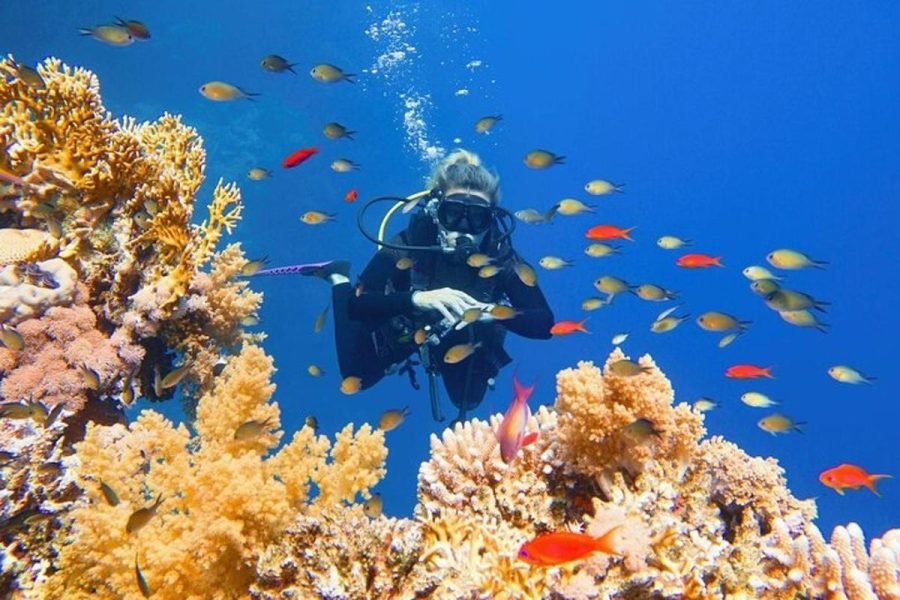 Scuba Diving Experience